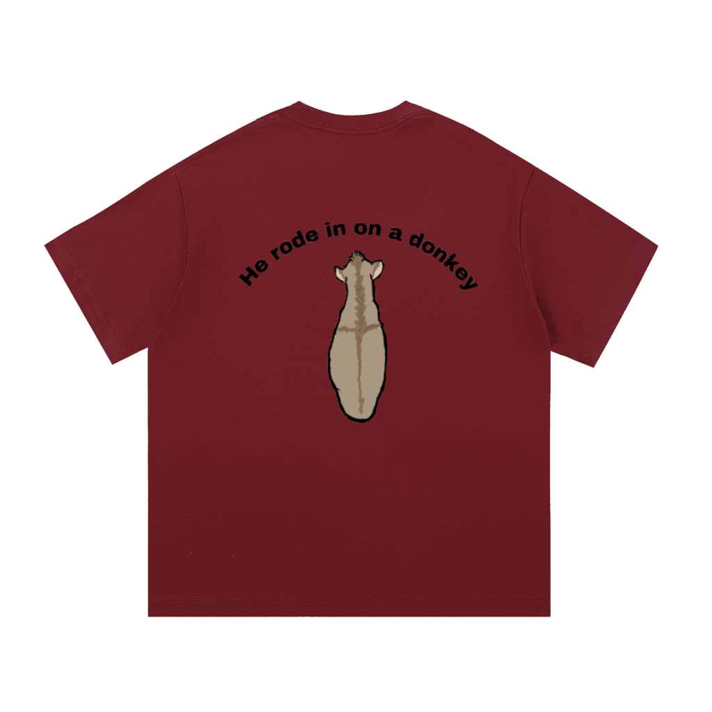 He rode on a donkey tee