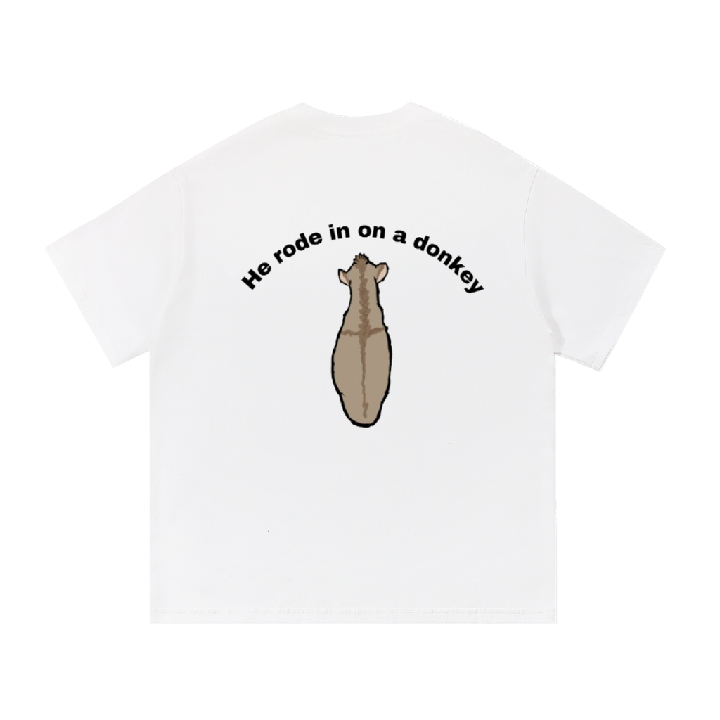He rode on a donkey tee