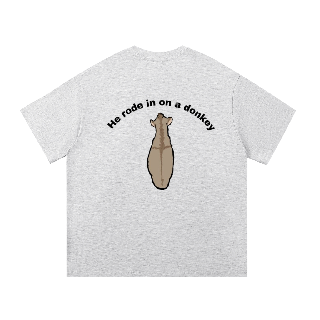 He rode on a donkey tee