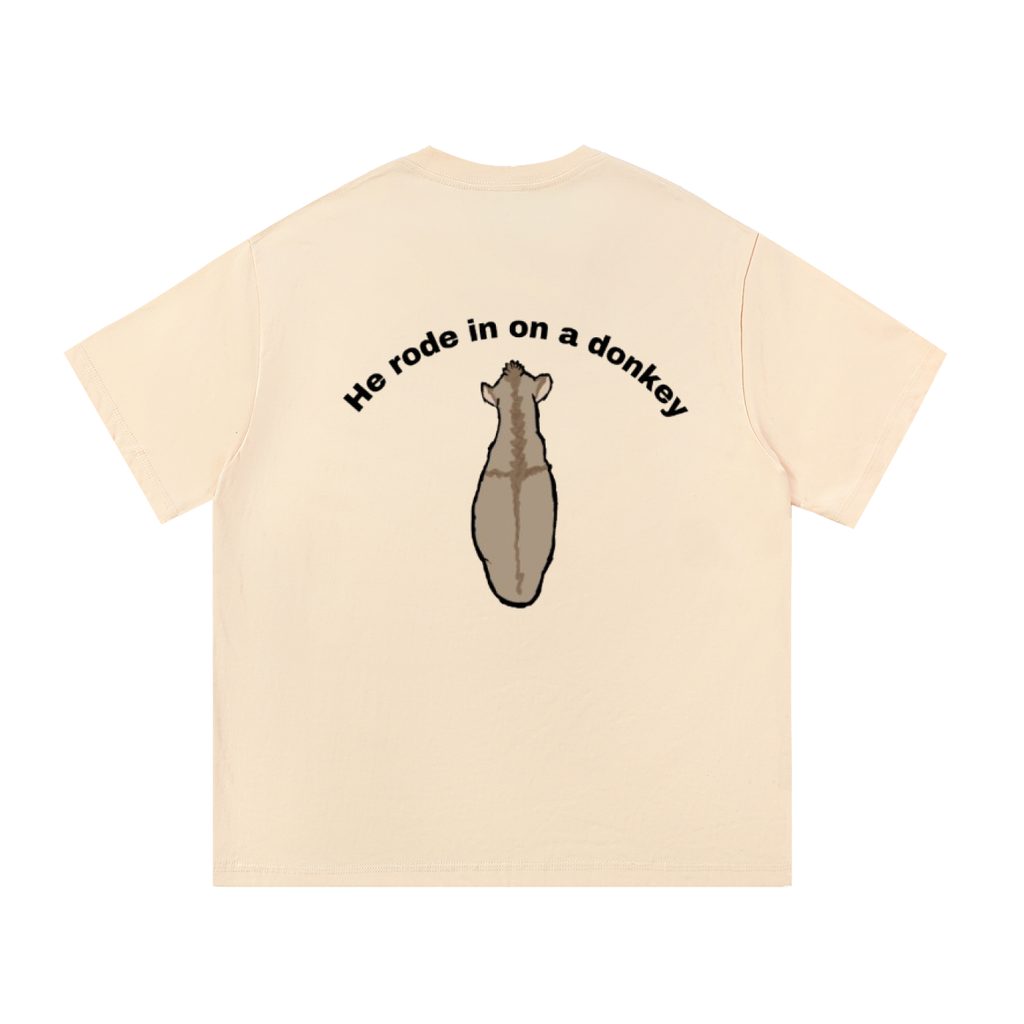 He rode on a donkey tee