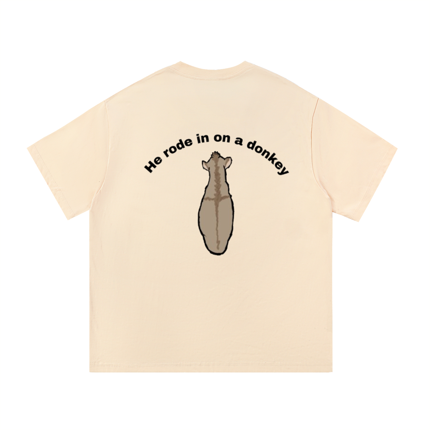 He rode on a donkey tee