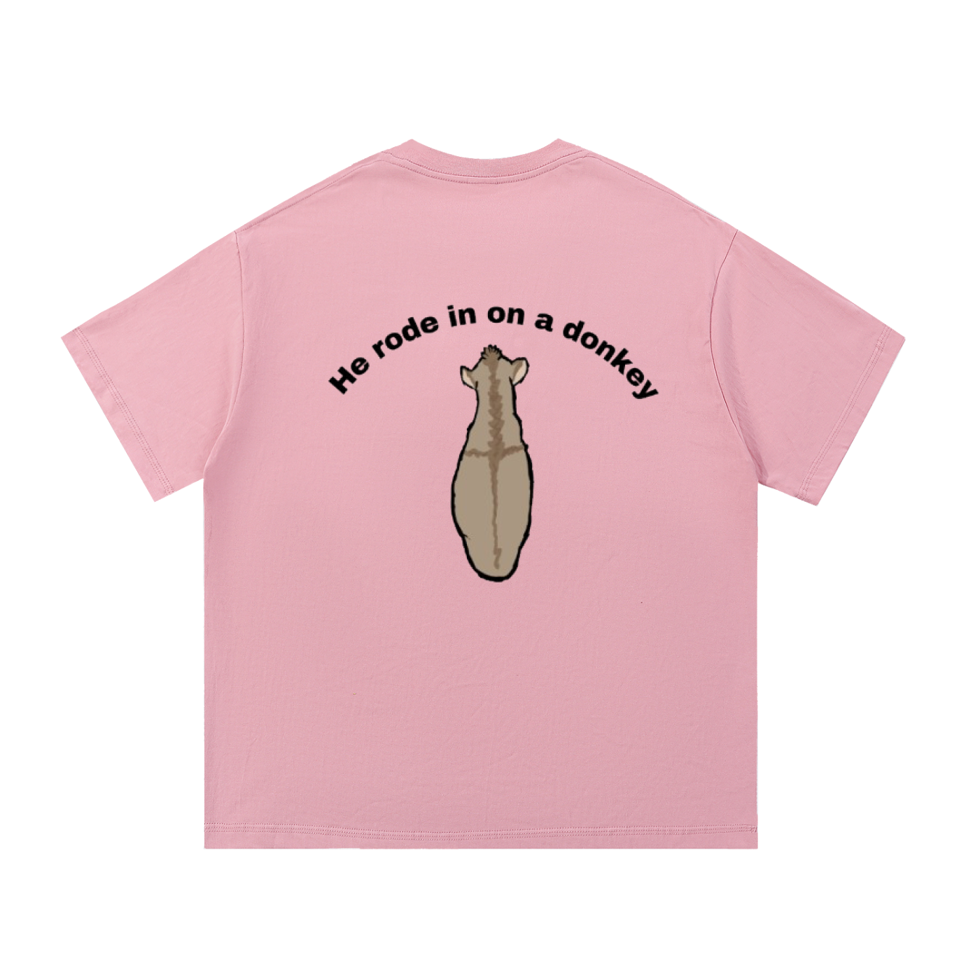 He rode on a donkey tee